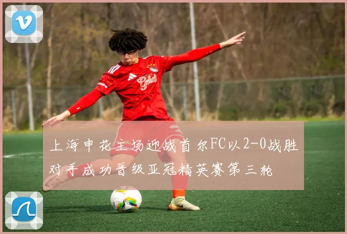上海申花主场迎战首尔FC以2-0战胜对手成功晋级亚冠精英赛第三轮
