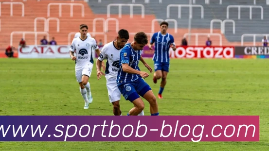 BOB体育平台生态图