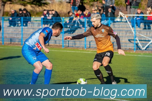 BOB体育APP 封面图